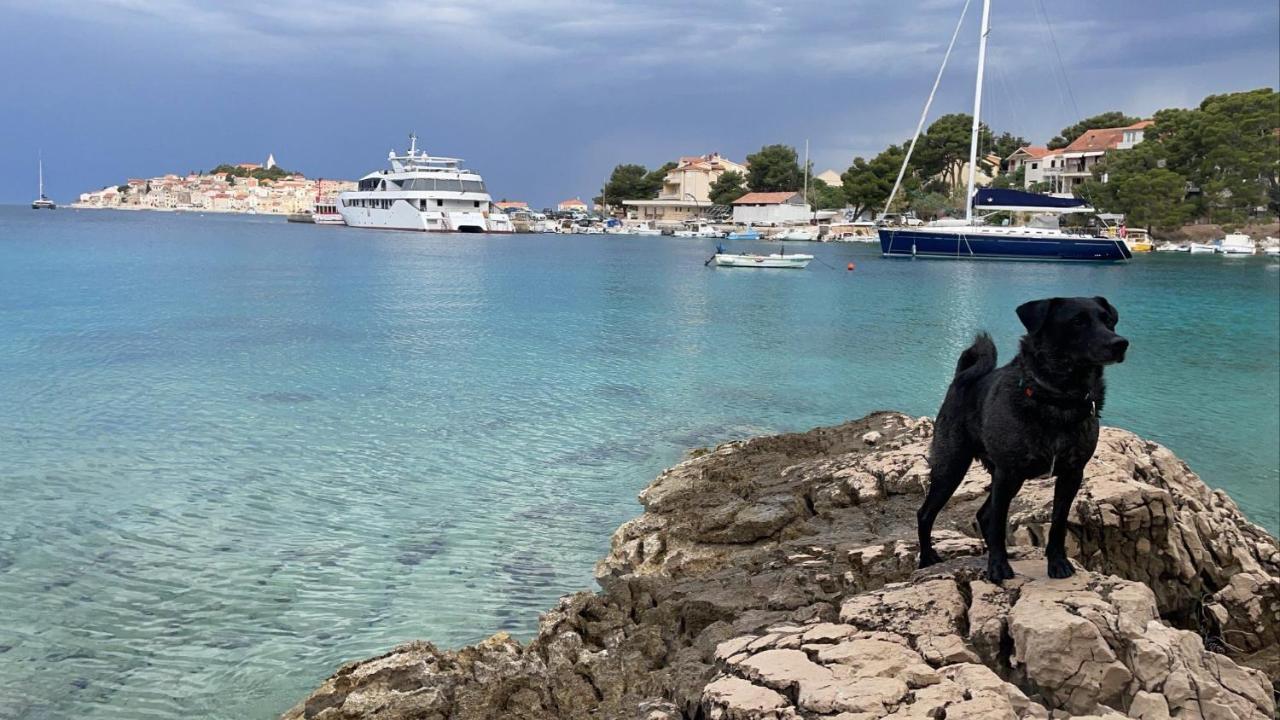Apartmán Stonewood Dalmacija Primošten Exteriér fotografie